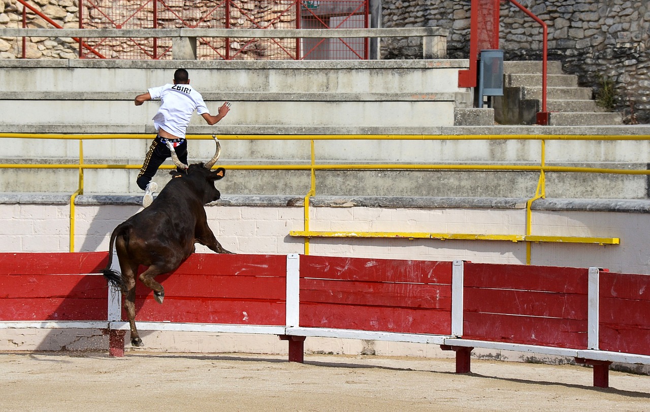 让比赛重
